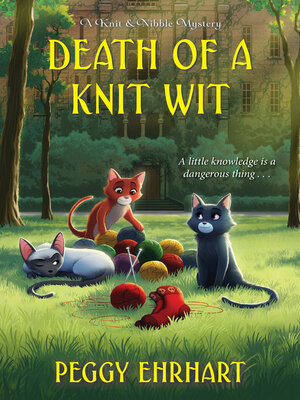 Death of a Knit Wit - ebook